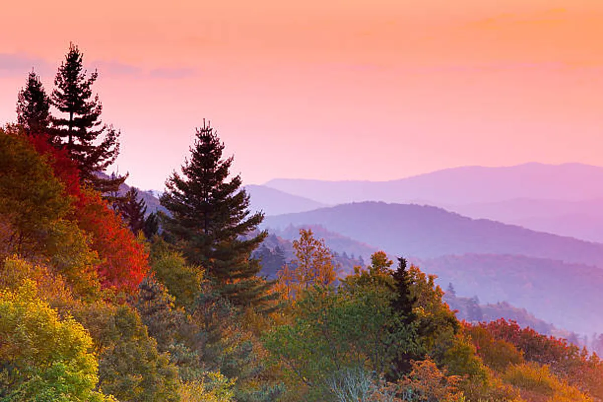 A breathtaking view of silhouetted trees and layered mountains under a gradient sunset sky, inviting viewers to explore the natural beauty nearby. The scene speaks to the proximity of the Smoky Mountains and the adventures awaiting just beyond the doorstep.
